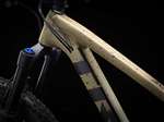 TREK 2023 - ROSCOE 9 ALLOY SHIMANO SLX/XT 1 X 12V - MATTE QUICKSAND TO OLIVE FADE / BLACK