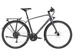 TREK 2023 - FX 2 DISC EQUIPPED - SATIN LITHIUM GREY
