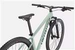SPECIALIZED 2022 - ROCKHOPPER COMP 29 - GLOSS CA WHITE SAGE / SATIN FOREST GREEN
