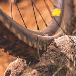 PANZER - INSERTO PANZER EVO 29'' XC/LIGHT WEIGHT
