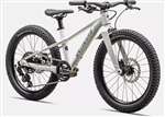 SPECIALIZED 2024 - RIPROCK 20 DISC BIMBO & BIMBA - GLOSS DUNE WHITE PNGRN