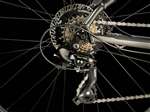 TREK 2025 - MARLIN 4 GEN 2 SHIMANO ALTUS 2 X 7V - DNISTER BLACK