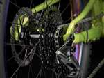 TREK 2025 - WAHOO 24 DISC TRAIL 9V - POWER SURGE