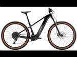 TREK 2025 - NEW POWERFLY+ 4 GEN 5 BOSH 600W - GLOSS DARK STAR / MATTE DARK WEB