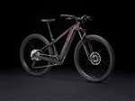 TREK 2025 - NEW POWERFLY+ 6 GEN 5 BOSH 800W - SUNBURST / DARK STAR